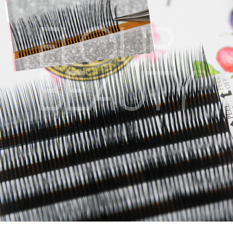 Best quality easy to use rapid blooming eyelash extensions 5D lashes wholesale EL56